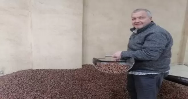 Zirai don riski fındık fiyatlarını yükseltti
