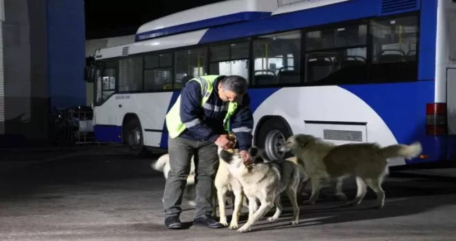 Ankara’da köpekle eğlenceli dakikalar geçiren EGO şoförü konuştu:
