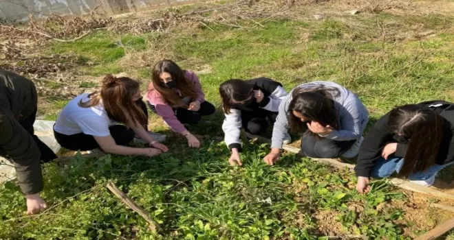 Öğrenciler ‘e-Twinning’ projesi ile endemik bitkileri tanıyor
