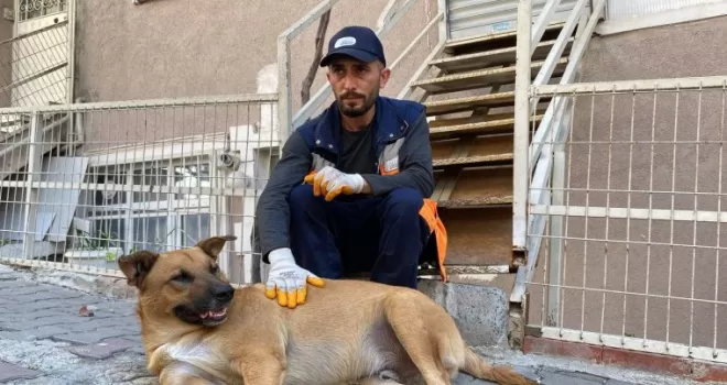 Sokak köpeği ile temizlik görevlisinin yürekleri ısıtan dostluğu
