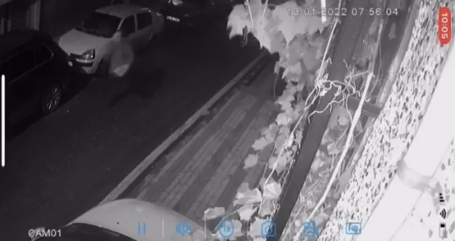 Üsküdar’da silahlı dehşet: Otizmli gencin köpeğini pitbull zannederek silahla vurdu
